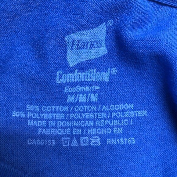 NHL St. Louis Blues Graphic Tshirt Medium Play Gloria Hockey Hanes - Picture 7 of 9